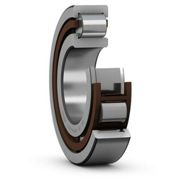 AS 75100 SKF