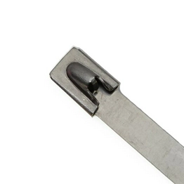 AL-14-100-SS-C Advanced Cable Ties