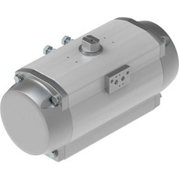 DFPD-900-RP-90-RD-F14-R3-EP FESTO