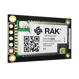 RAK11310-9-WB-I RAK