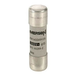 FR14GG69V25 MERSEN