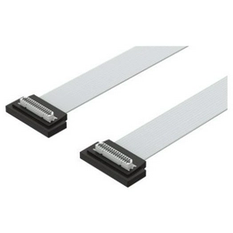 NEBM-F1W31-XC-0.5-F1N-DF1W31 FESTO