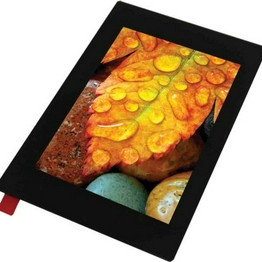 DISPLAY VISIONS EA TFT035-34AITC image