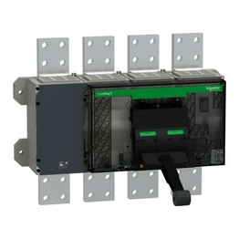 C250N4FM Schneider Electric