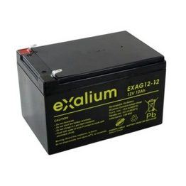 EXAG12-12-RS 