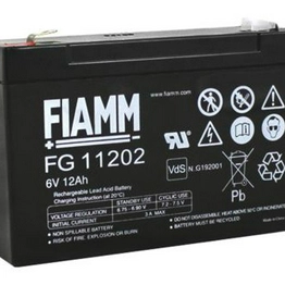 FG11202 FIAMM