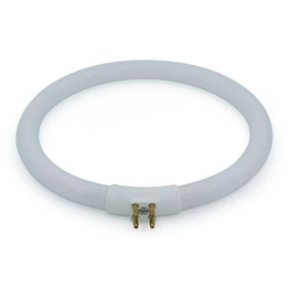 WW-QSY9-2 International Lighting
