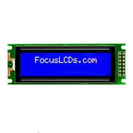 C162BLBSBSW6WN33PAB FOCUS LCDs