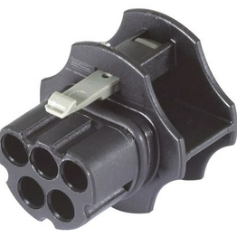 Z5.565.9853.1 Wieland Electric