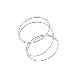 S-1261CS Century Spring
