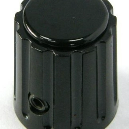 100106 RS