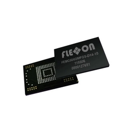 FLEXXON FEMC016GTTG7-T13-27 image