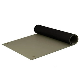 8385DGYM3672 ACL Staticide