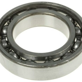 6008 SKF