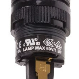 RS 7452449 image