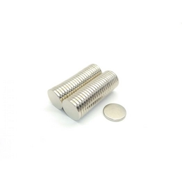8010 Radial Magnets