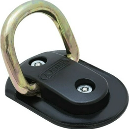 0069579 ABUS