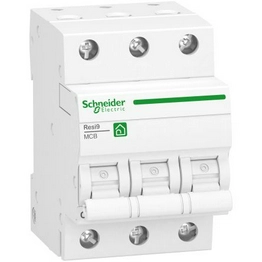 R9F28325 Schneider Electric