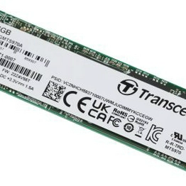Transcend Information TS256GMTS970A image