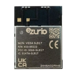 453-00222C EZURIO