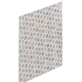 50106119 Leuze electronic