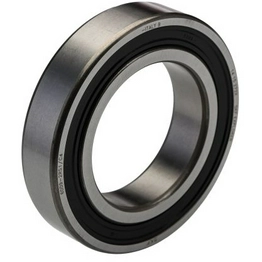 SKF 6009-2RS1/C4 image