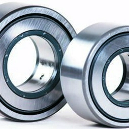 NATR 25 PP SKF