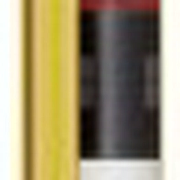 66536200 Leuze electronic