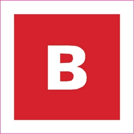 95219 BRADY