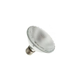 WX-EGYH-1 International Lighting