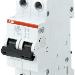 ABB 2CDS252001R0805 S202-B80 6kA image