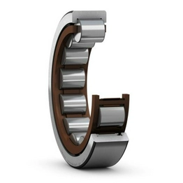 AS 6590 SKF