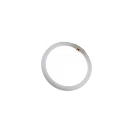 WX-EQX8-0 International Lighting