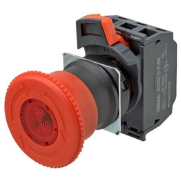 A22NE-M-P202-C OMRON