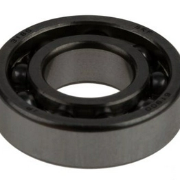 61900 SKF