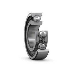 RLS 10 SKF