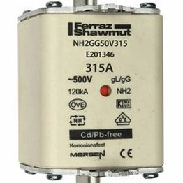 K219820 / NH2GG50V315-1 MERSEN