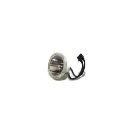 WW-2SL6-7 International Lighting