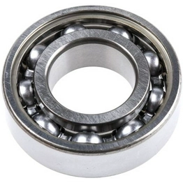 SKF 6004 image