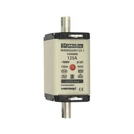 NH00GG50V125-1 MERSEN