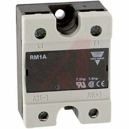 RM1A48A100 Carlo Gavazzi