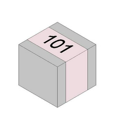 1111P101JW501X Passive Plus