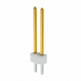 22102024 molex