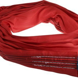 RS 7292994 image