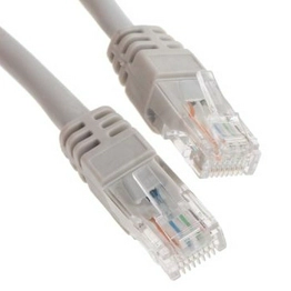 RS 7917107 image