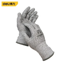 DL521042 DELI