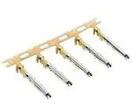 SS24W1F Amphenol