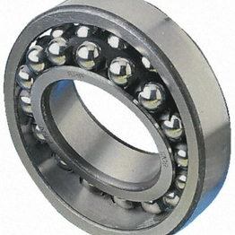 2204E-2RS1TN9 SKF