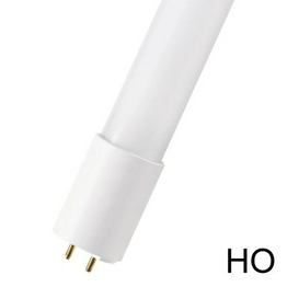 145883 