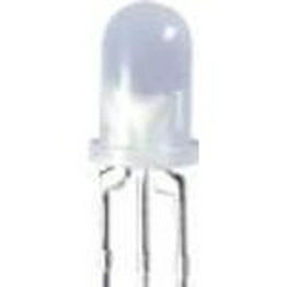 WP59EGW Kingbright Electronic